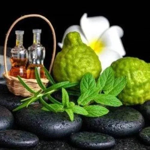 Bergamot Citrus Clove Fragrance Oil The Fragrance Room