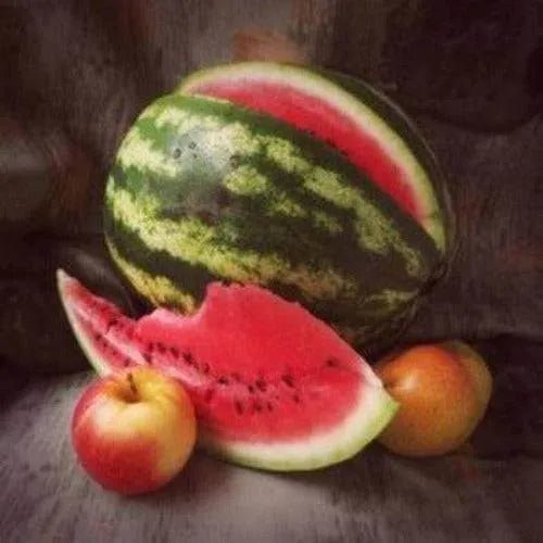 Apple & Melon Fragrance Oil - The Fragrance Room