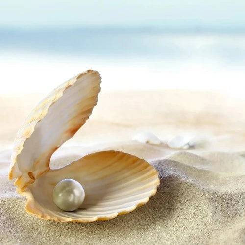 Ocean Pearl Fragrance Oil - The Fragrance Room
