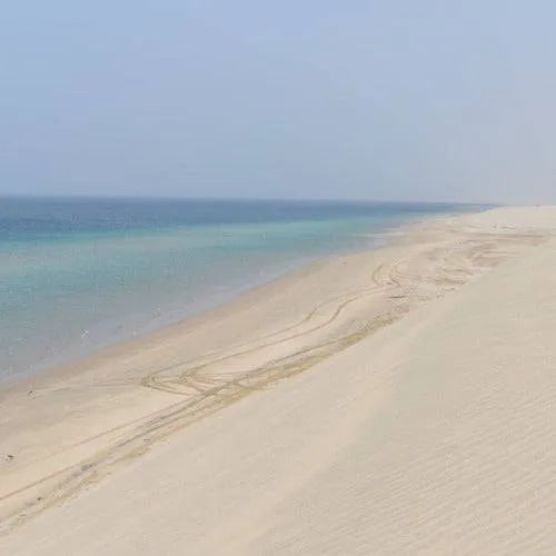 Sea Salt & Ocean Breeze Diffuser Oil Refill - The Fragrance Room