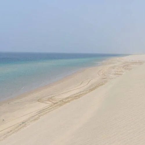 Sea Salt Ocean Breeze Fragrance Oil - The Fragrance Room