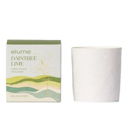 Daintree Lime Soy Candle - The Fragrance Room