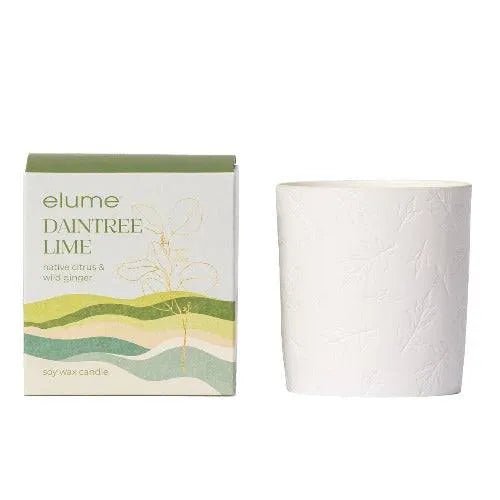 Daintree Lime Soy Candle - The Fragrance Room
