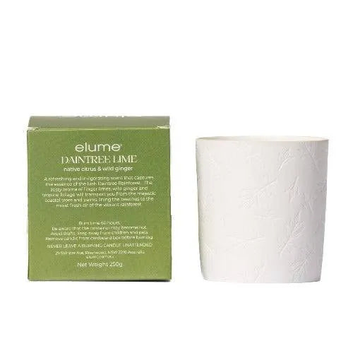 Daintree Lime Soy Candle - The Fragrance Room