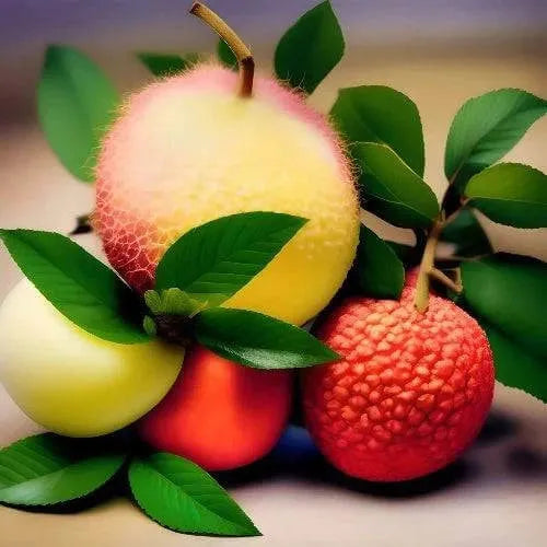 Rubis Type Fragrance Oil