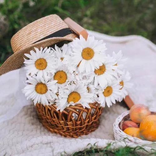 Country Road Type Fragrance Oil