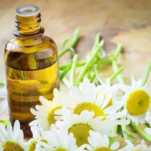 Chamomile & Bergamot Fragrance Oil - The Fragrance Room