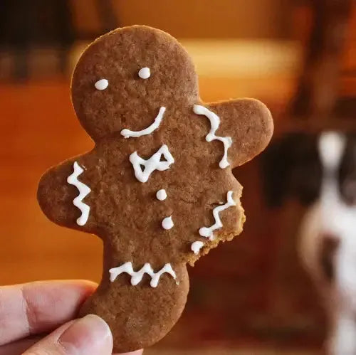 Gingerbread Soy Candle 220g - The Fragrance Room