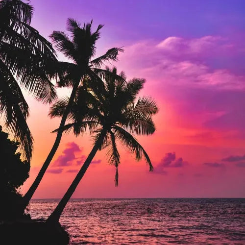 Crush 39 Type Fragrance Oil