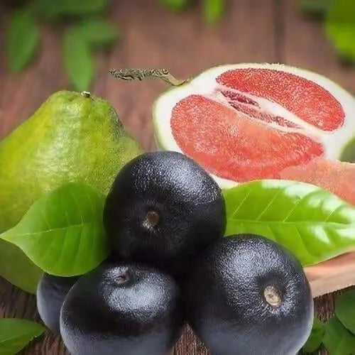 Acai & Pomelo Fragrance Oil - The Fragrance Room