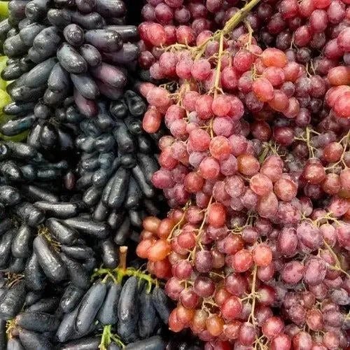 Amazonian Grape Diffuser Oil Refill - The Fragrance Room