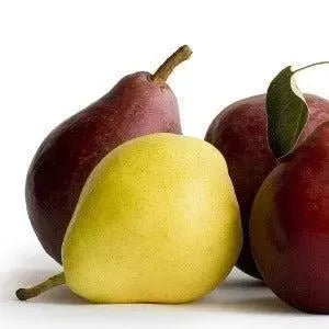 Anjou Pear Fragrance Oil - The Fragrance Room