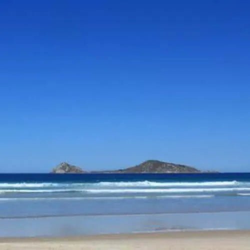 Aussie Summer Fragrance Oil - The Fragrance Room
