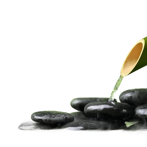Bamboo Musk Fragrance Oil - The Fragrance Room