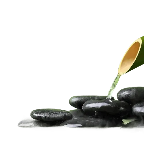 Bamboo Musk Fragrance Oil - The Fragrance Room