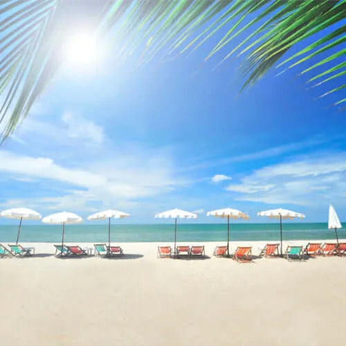 Seashore Berry Fragrance Oil