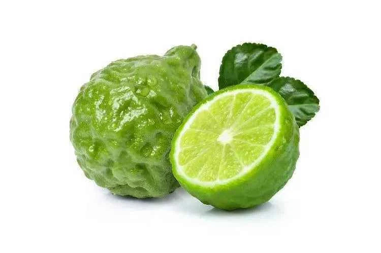 Bergamot & Lime Diffuser Oil Refill 100ml