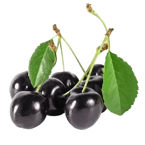 Black Cherry Fragrance Oil - The Fragrance Room