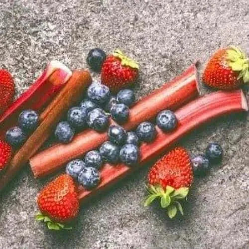 Black Plum & Rhubarb Fragrance Oil - The Fragrance Room