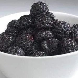 Black Raspberry Sugar Diffuser Oil Refill - The Fragrance Room
