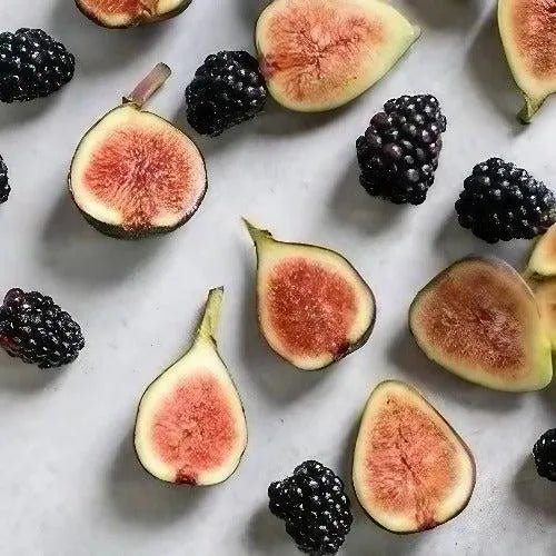Blackberry Fig Diffuser Oil Refills - The Fragrance Room