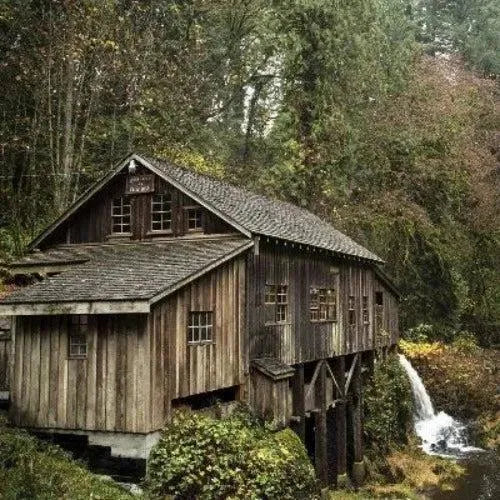 Crisp Cedar & Amber Diffuser Refill - The Fragrance Room