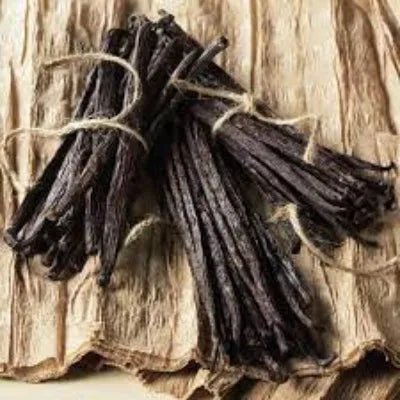Vanilla Pure Fragrance Oil - The Fragrance Room