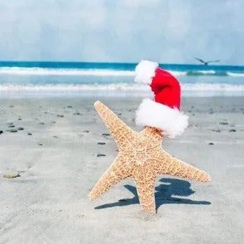 Island Christmas Diffuser Oil Refill - The Fragrance Room