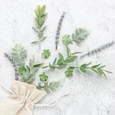 Lavender & Eucalyptus Natural Fragrance Oil - The Fragrance Room