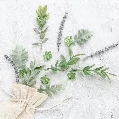 Lavender & Eucalyptus Natural Fragrance Oil - The Fragrance Room