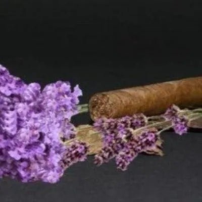 Lavender & Tobacco Fragrance Oil - The Fragrance Room