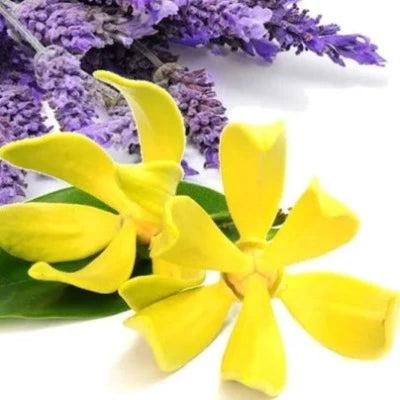 Lavender & Ylang Ylang Diffuser Oil Refill - The Fragrance Room