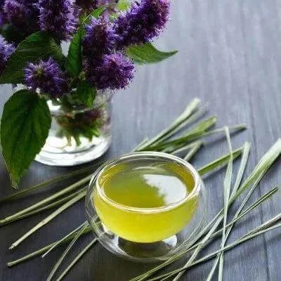 Lemongrass & Lavender Fragrance Oil - The Fragrance Room