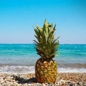 Maui Pineapple Fragrance Oil - The Fragrance Room