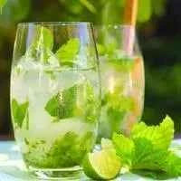 Mint Mojito Reed Diffuser Oil Refill