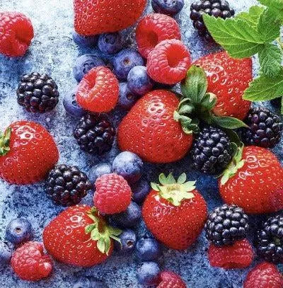 Mixed Berries Fragrance Oil - The Fragrance Room