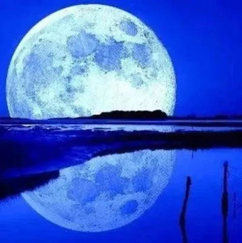 Moon Lake Musk Fragrance Oil - The Fragrance Room