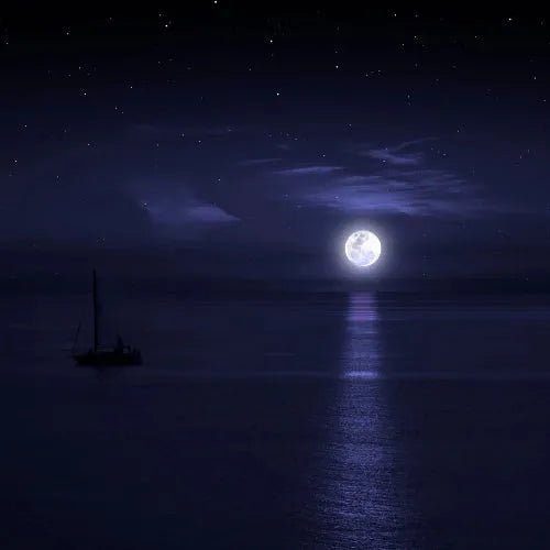 Moonlit Night Fragrance Oil - The Fragrance Room