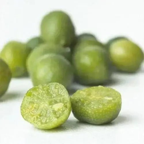 Native Wild Lime Fragrance Oil - The Fragrance Room