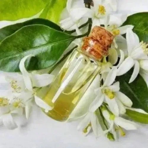 Neroli Eucalyptus Fragrance Oil - The Fragrance Room