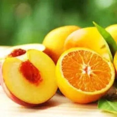 Orange & Peach Blossom Fragrance Oil - The Fragrance Room