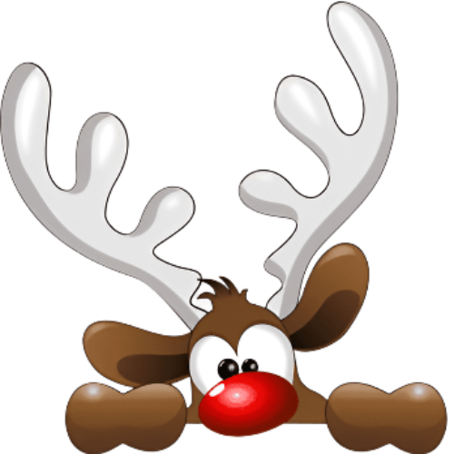 Reindeer Farts Fragrance Oil - The Fragrance Room