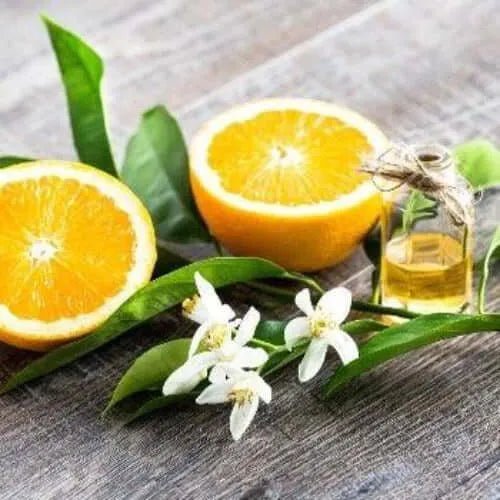 Sweet Neroli & Basil Fragrance Oil - The Fragrance Room