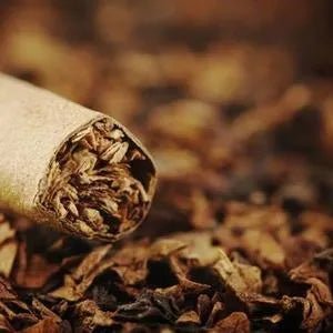 Tobacco Fragrance Oil - The Fragrance Room