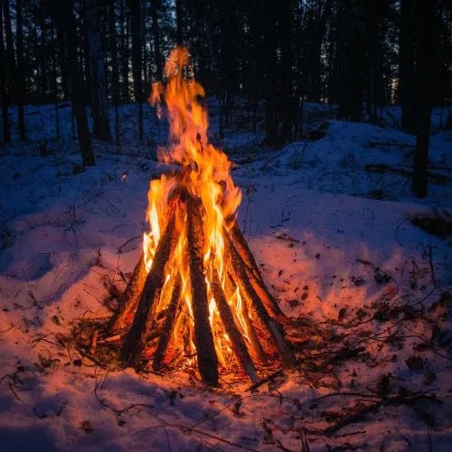 Winter Bonfire Fragrance Oil - The Fragrance Room