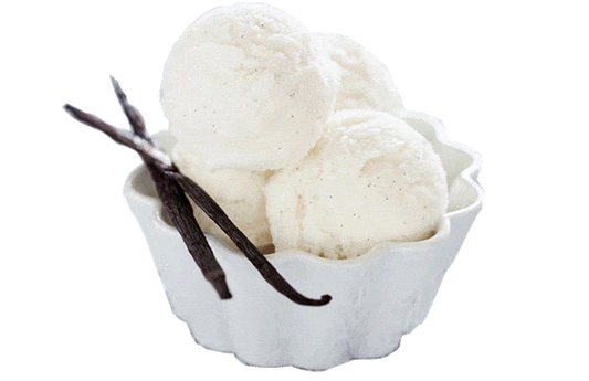 Gourmet  Tahitian Vanilla Diffuser Oil Refill - The Fragrance Room