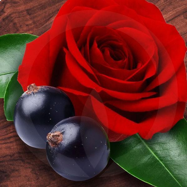 Cassis Rose Diffuser Oil Refills LIMITED OFFER