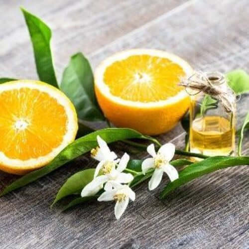 Sweet Neroli & Basil Fragrance Oil - The Fragrance Room