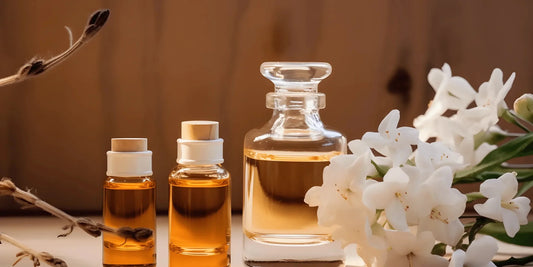 Scent Without Boundaries: Embrace Our Top 6 Genderless Fragrances Loved by You - The Fragrance Room