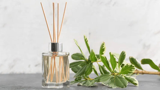 How Do Car Diffuser Bottles Work? - The Fragrance Room